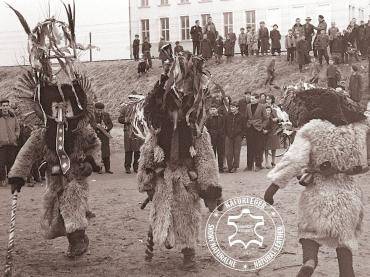 Schapenvachten  - Langharige schapenvachten voor kostuums - "Kurentovanje" festival
