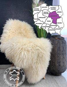 Schapenvachten  - Schapenvachten Warschau - de hoofdstad van Polen - Woiwodschap Mazovië, Polen